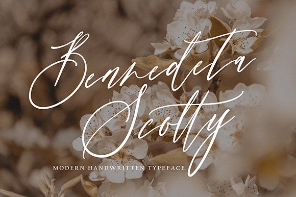 Benedeta Scotty: A Designer’s Go-To Script Font for Elegant Branding