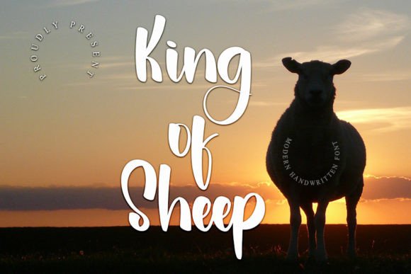 King of Sheep Font: A Web Designer’s Review for Digital Branding
