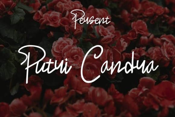 Putri Candra: A Modern Script Font for Elegant Brand Campaigns